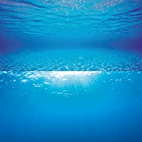 Juwel - Póster con diseño de piedra arcillosa para decoración de pecera- azul (ocean)- 60 x 30 cm